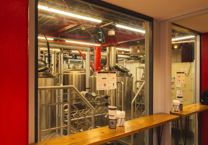 Tiny Organisms, Huge Flavors: How Craft Breweries Are Making Yeast Their Most Guarded Ingredient